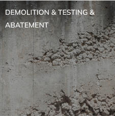 Demolition & Testing & Abatement